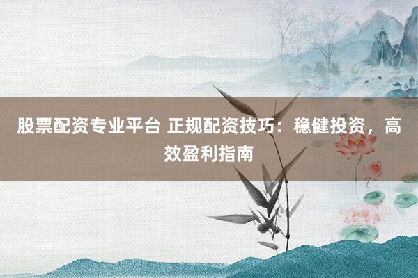 股票配资专业平台 正规配资技巧：稳健投资，高效盈利指南