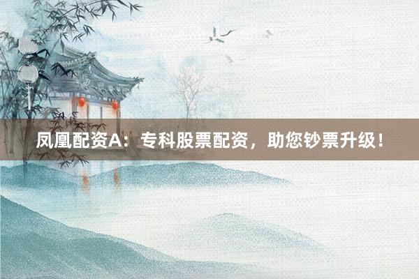 凤凰配资A：专科股票配资，助您钞票升级！